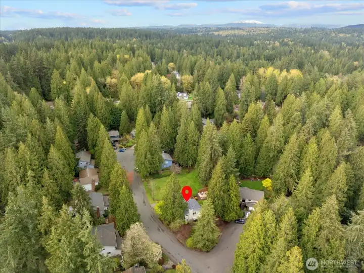 Home abuts two cul-de-sac and flanks by mature fruit trees..Paradise Apples in the Fall!!  Quiet neighborhood, walking distance to playground yet minutes that Woodinville has to ffer.