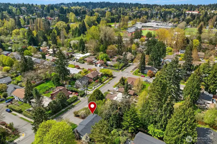 Nathan Hale in the background