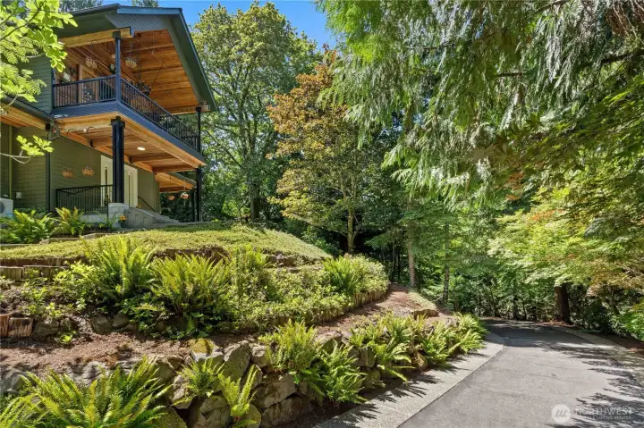 The driveway is lined with Japanese maples and tiered beds with native plants. The driveway is lined with Japanese maples and tiered beds with native plants.