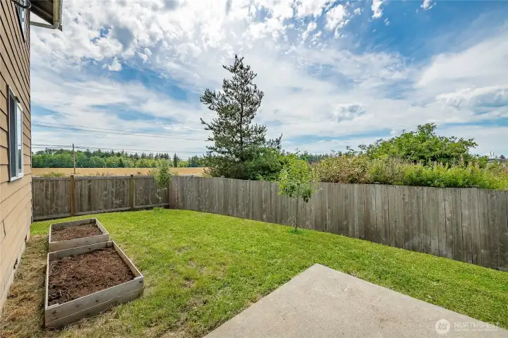 backyard privacy greenspace on side and back