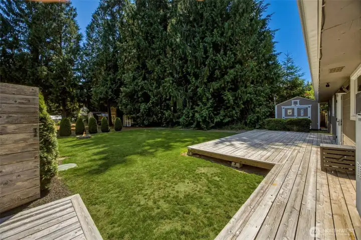 Main house backyard deck