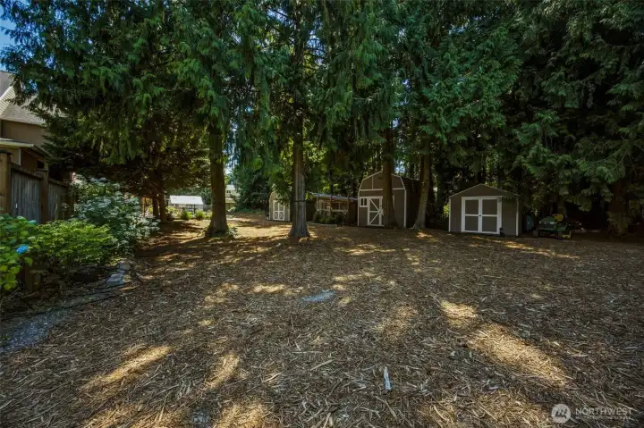 Backyard with sheds and chicken coop