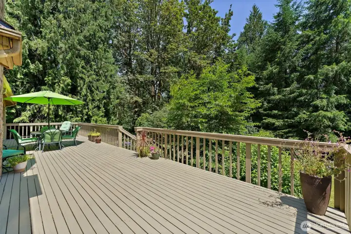 Large deck.