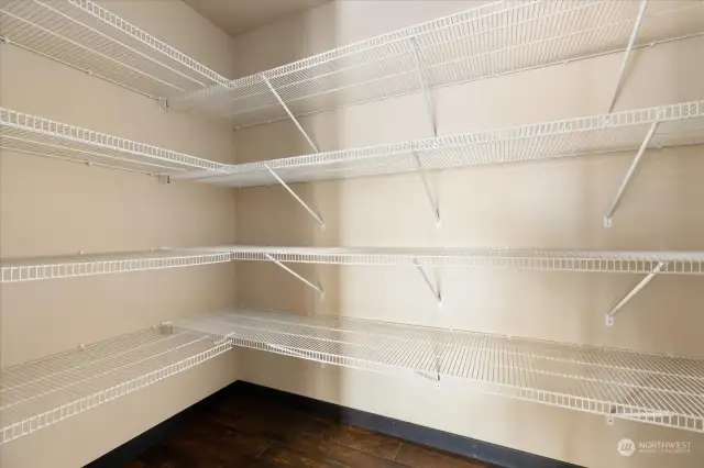 Substantial pantry space.