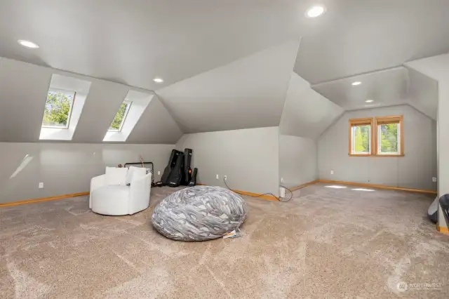 Large bonus room over garage with great skylights.