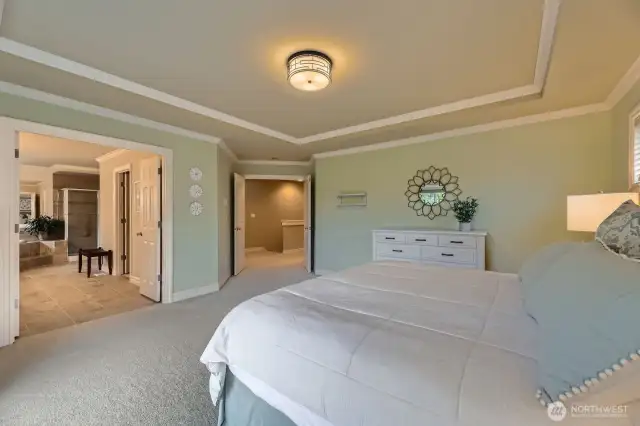 Spacious & Bright