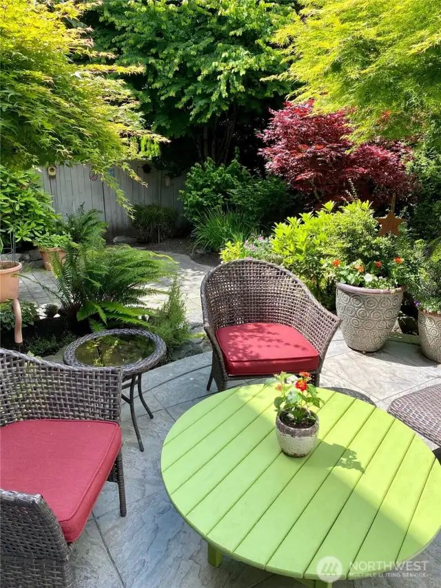 What the Yard Looks like in Full Bloom