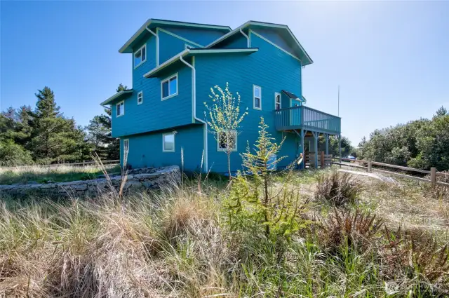 Natural dunes low maintenance landscaping