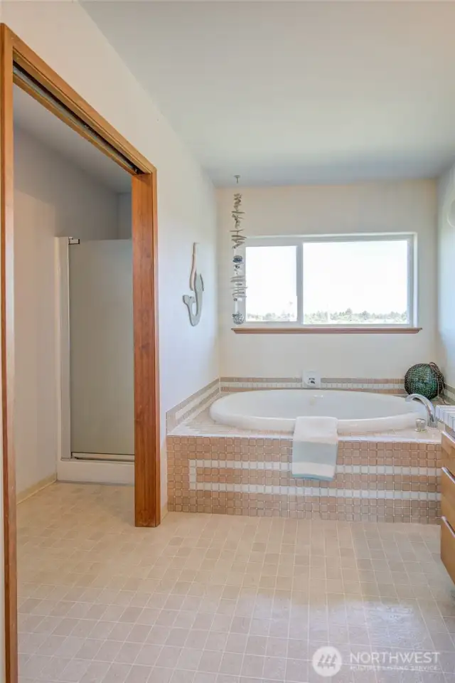 Jetted tub and separate shower