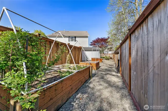 Vegetable Garden