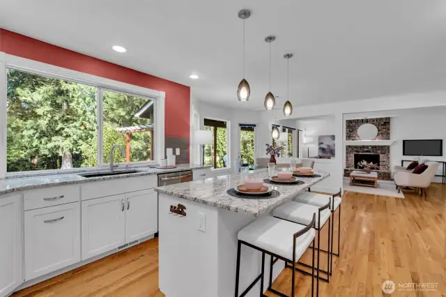 Fully remodeled kitchen with high-end and easy to maintain features.