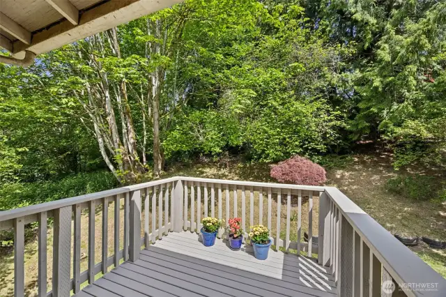Backyard deck overlooks the fully landscaped and private backyard.