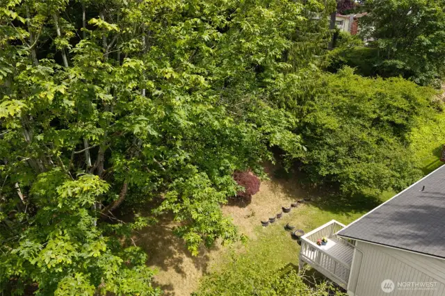 Abundant privacy in the back of the property.
