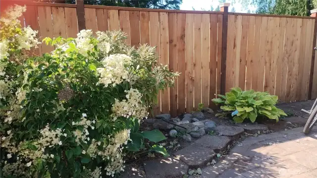 Beautiful landscaping in the backyard