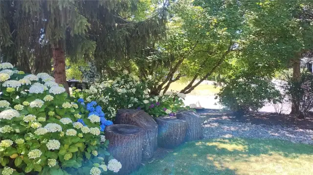 Landscape features in the front yard