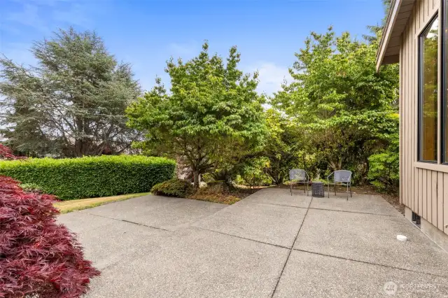 Back patio