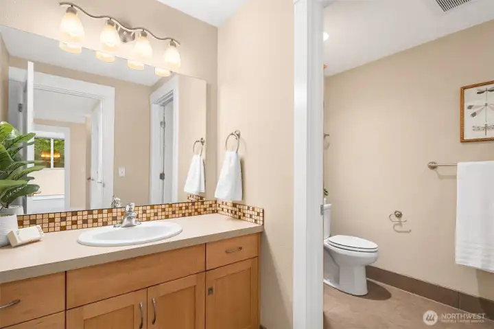 Full bathroom in lower level.