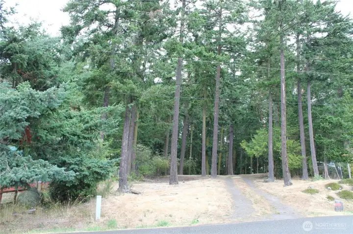 View from the street