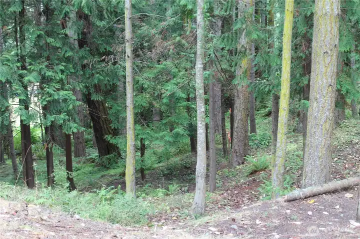 Rear lot is heavily private & treed, no one to bother you behind. Think about a deck out into the trees or a walkout basement?