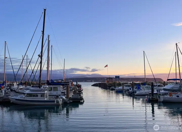 The marina at sunset is lovely.