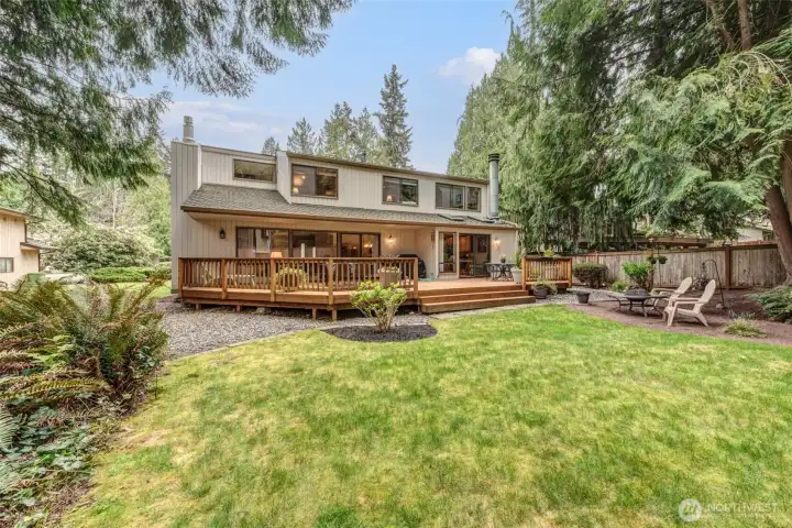 Backyard surrounded in beautiful, tall trees for extra privacy