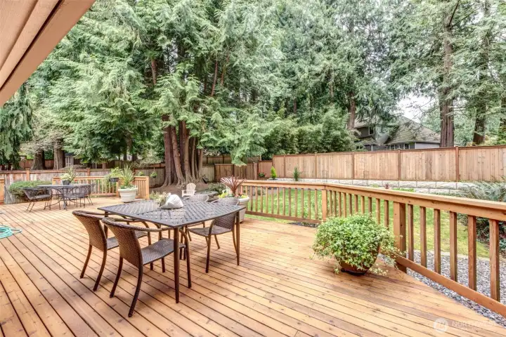 Backyard with large deck, great for entertaining