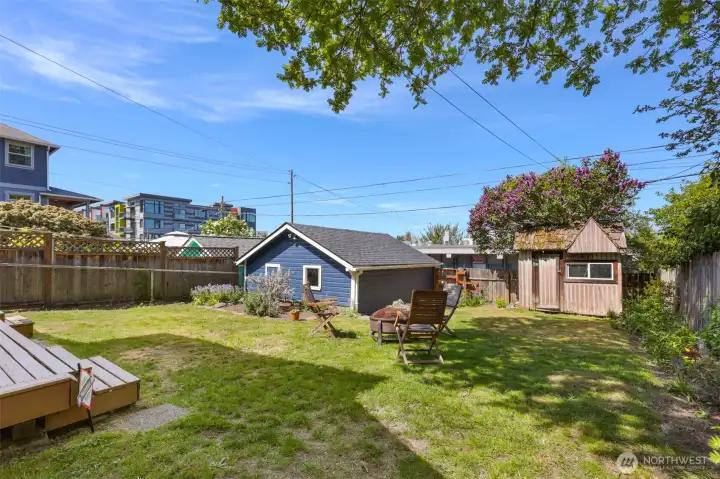 Back yard with small garden shed in the background to the right.