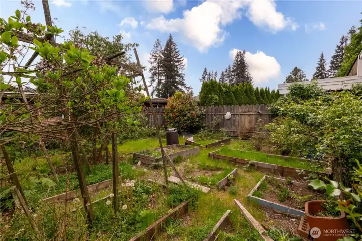 Garden beds plus green house needing a green thumb
