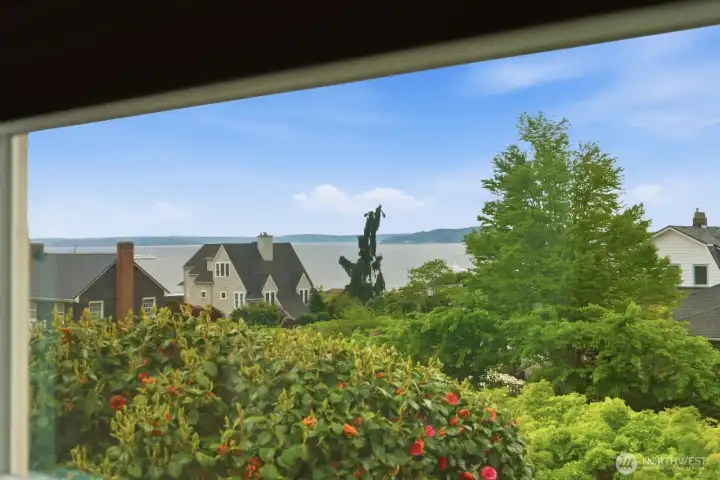 Watch cruise ships, ferries & even orcas passing by in Elliott Bay!
