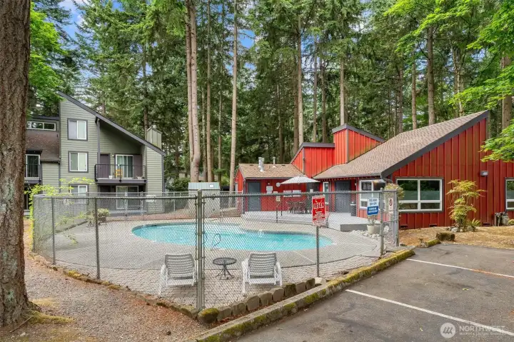 Community swimming pool with surrounding lounge area. Community swimming pool with surrounding lounge area.