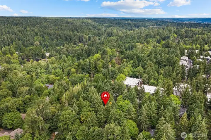 Aerial view showcasing the surrounding greenbelt and neighborhood.Aerial view showcasing the surrounding greenbelt and neighborhood. Aerial view showcasing the surrounding greenbelt and neighborhood.Aerial view showcasing the surrounding greenbelt and neighborhood.
