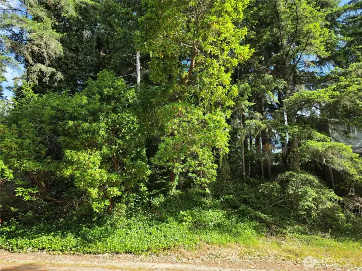 Looking at the lot from the road, located between house numbers 130 and 160 on NE Matthew Dr.