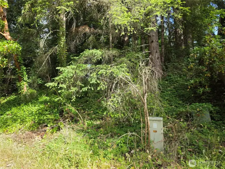 Southeast corner of the lot has the telecommunications pedastal showing #140.