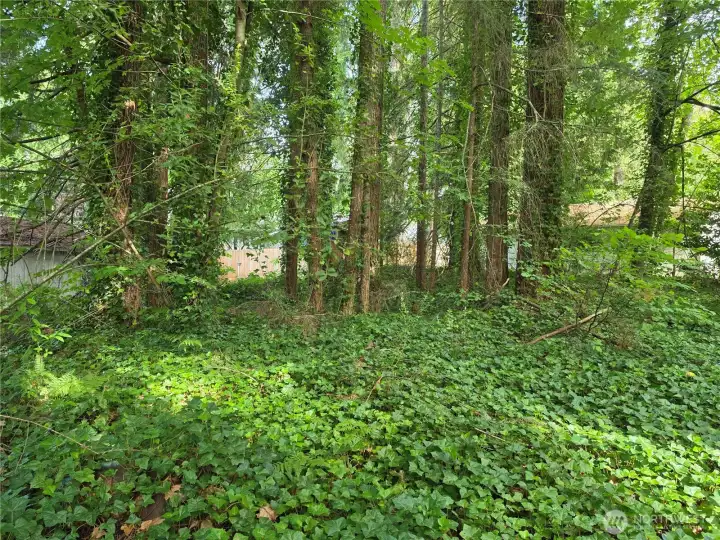 Looking toward the east.