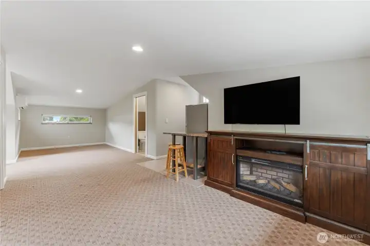 Apartment-Great Space for Guests or Income Potential