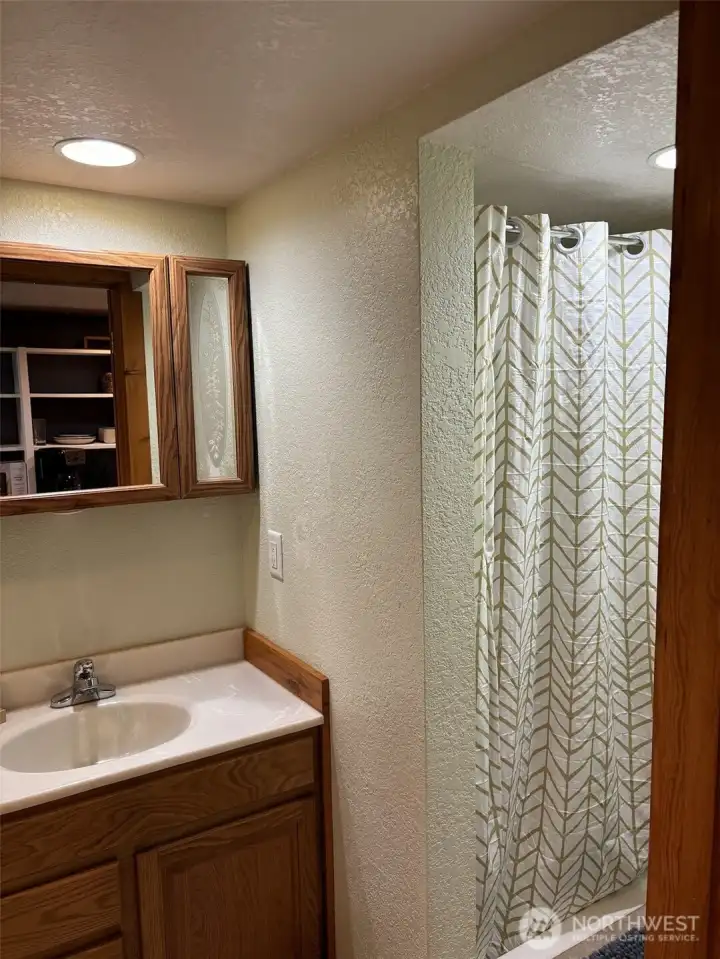 Lower Bathroom