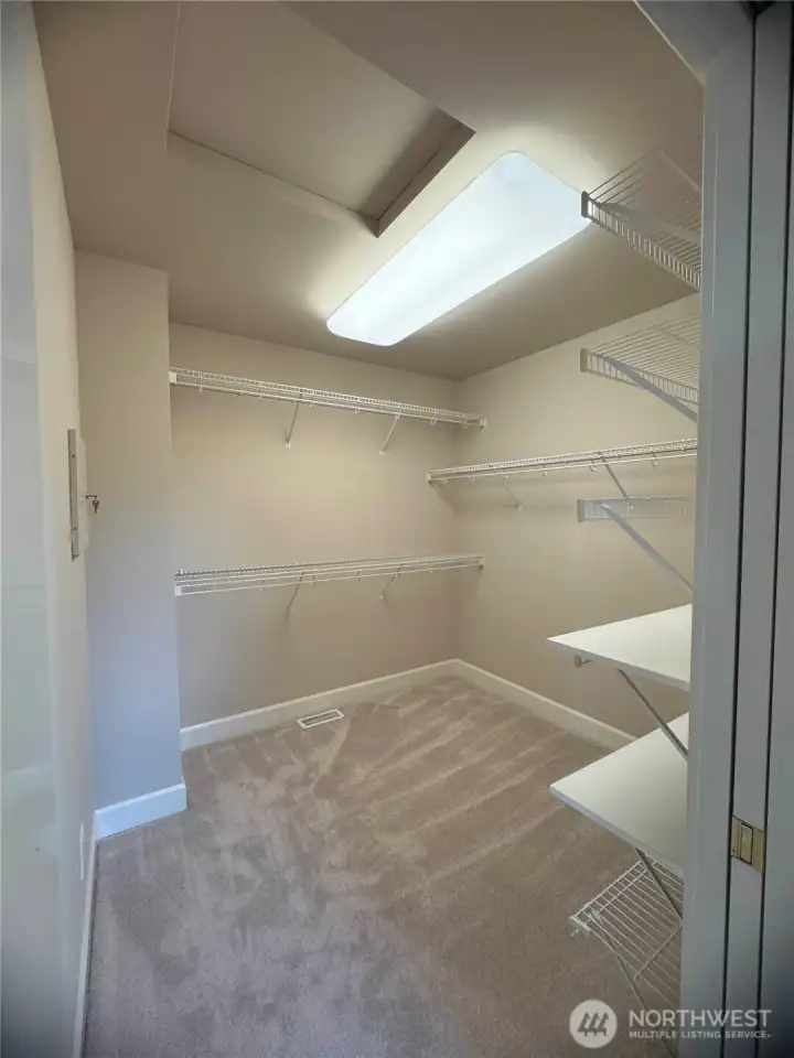 Large walk-in Closet