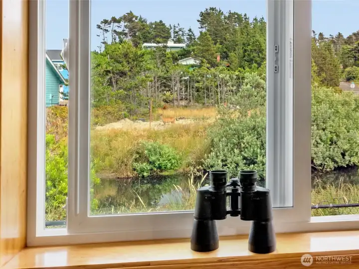 Kitchen window overlooks the fresh water canal. Kitchen window overlooks the fresh water canal.