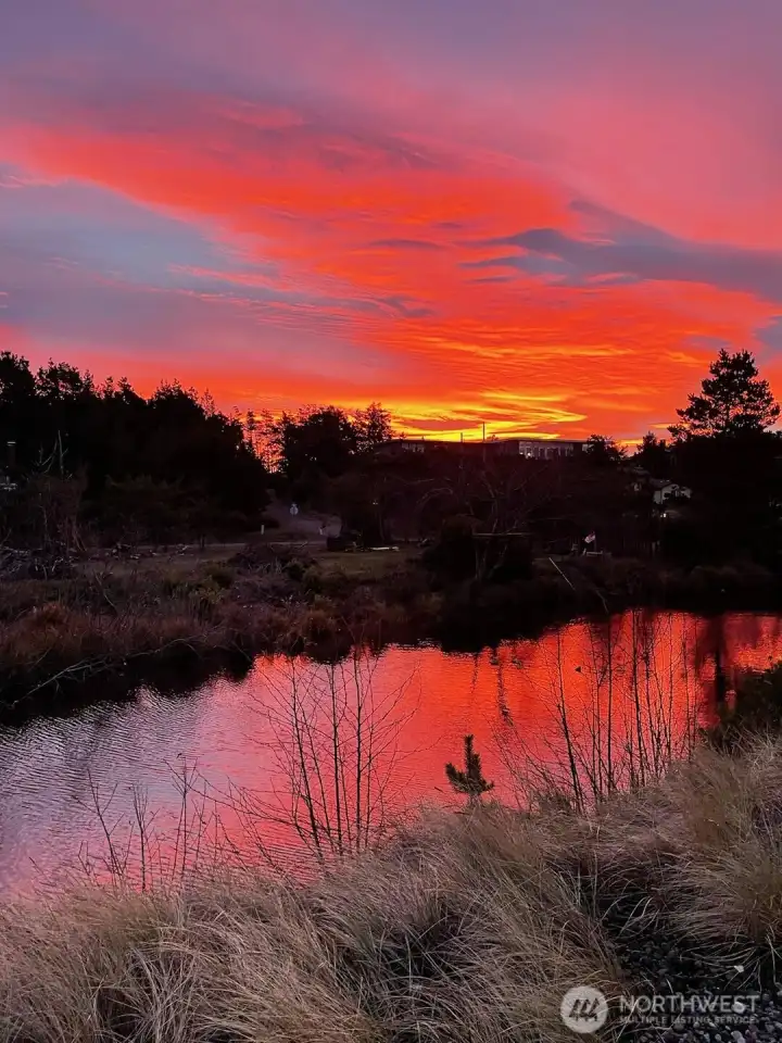 No filter necessary on a PNW sunrise. No filter necessary on a PNW sunrise.