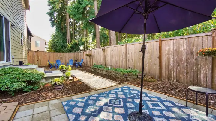Low maintenance back yard Low maintenance back yard