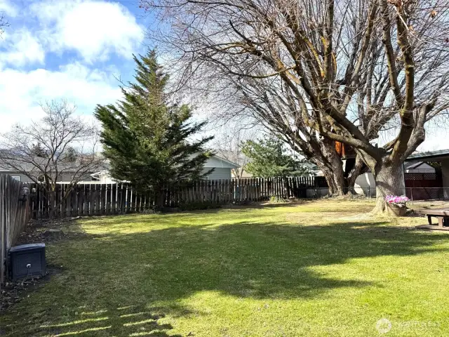 Parklike, fenced backyard
