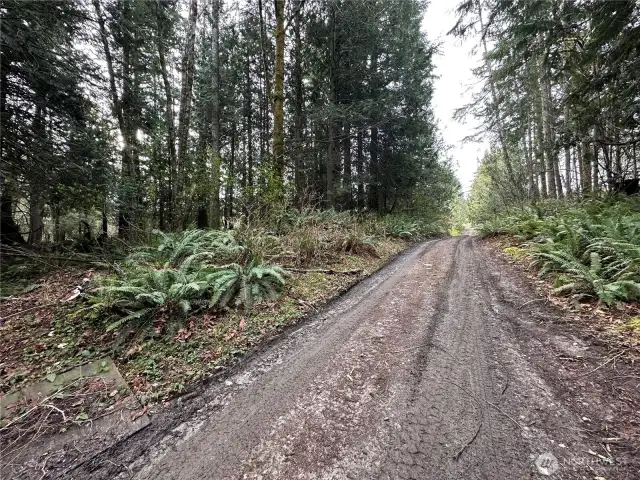 road near the lots