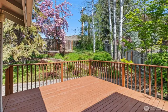 Back Yard Deck Soaks in the Lush Landscaping