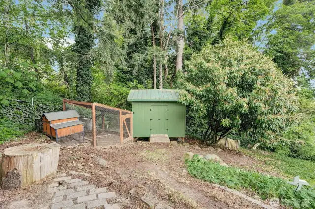 Chicken coupe and outdoor shed.
