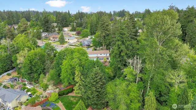 Drone footage
