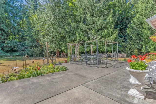Back yard patio. There are deer, humming birds galore!