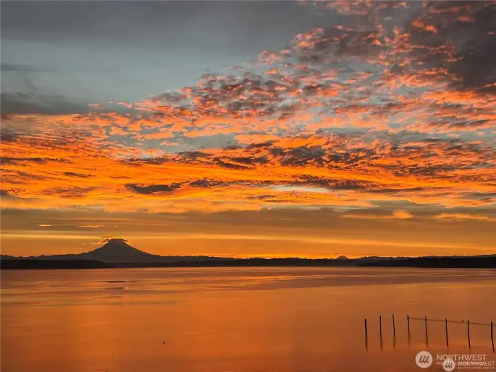Sunrise view of Mt Rainier