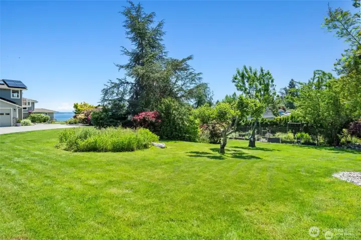 Fully fence and gated property with lots of room to play.