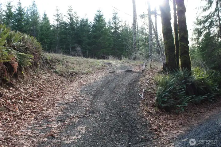 Access to potential building pad