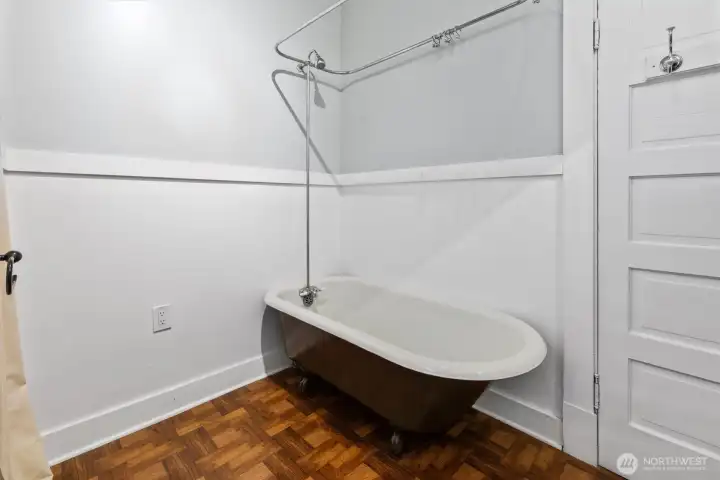 Beautiful vintage bathtub/shower